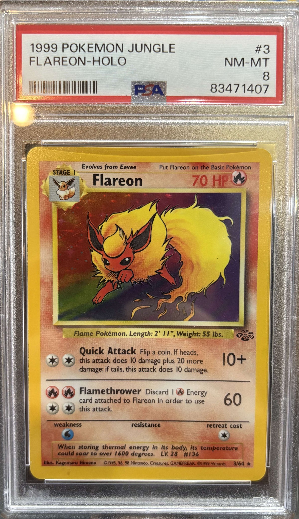 Pyroli Jungle Holographique - PSA 8 - 3/64